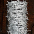 Hight Quality Silver Green Barbed Wire φράχτη